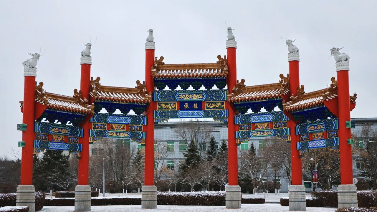 白雪中的校园牌坊